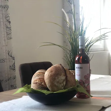 Apartament Nyulas Apartman Tiszafüred